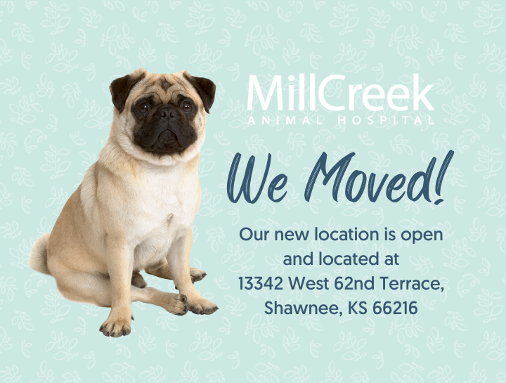 We've Moved!